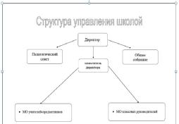 Схема структуры управления организацией